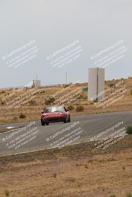 media/May-03-2025-Lucky Dog Racing (Sat) [[206de64b9d]]/Turn 6 (150pm-230pm)/